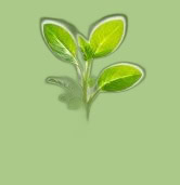 JOL's services are provided at no charge to parents facing a life-limiting or adverse perinatal diagnosis. 